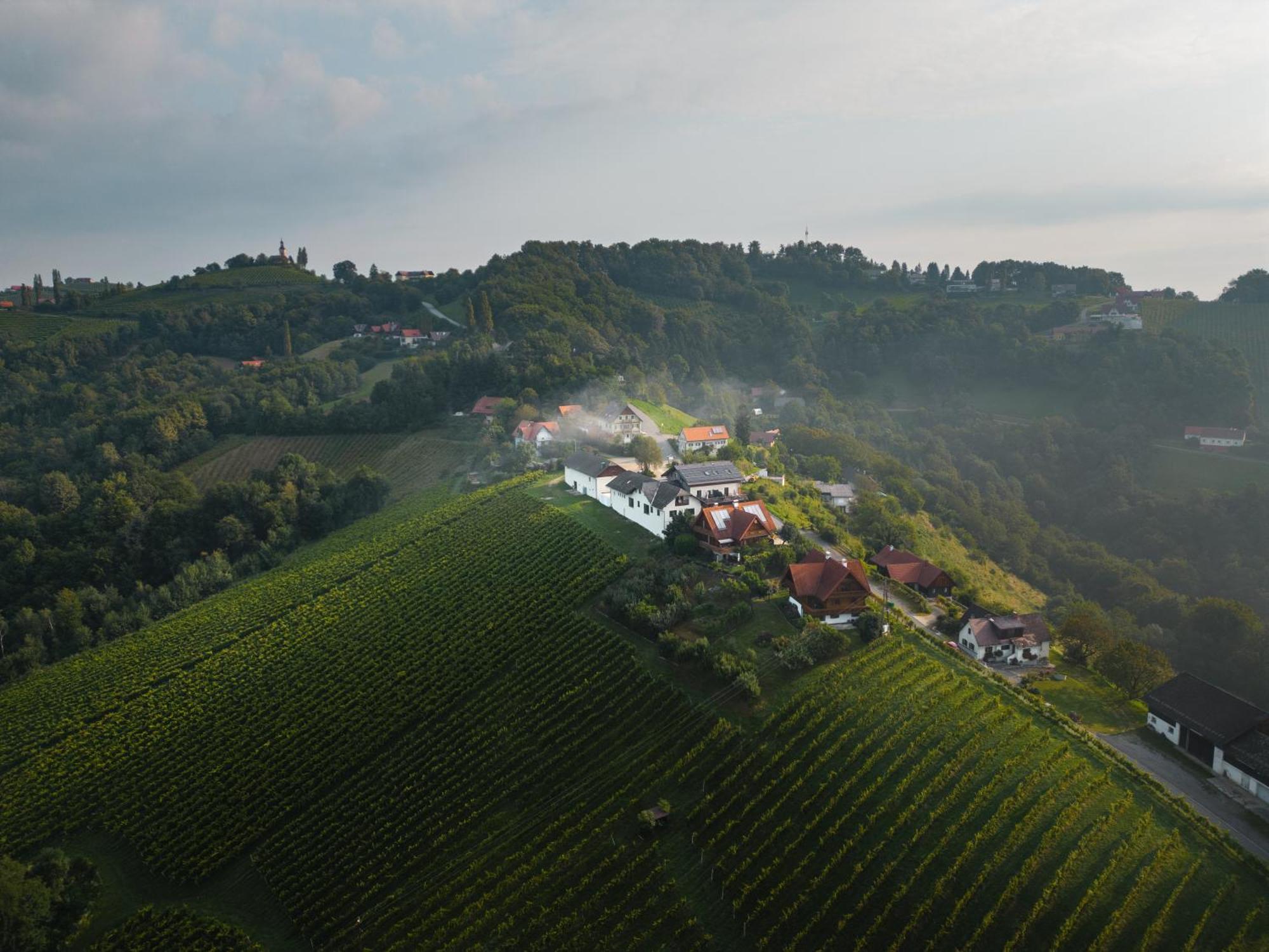Das Weinkitz Kitzeck im Sausal Kültér fotó