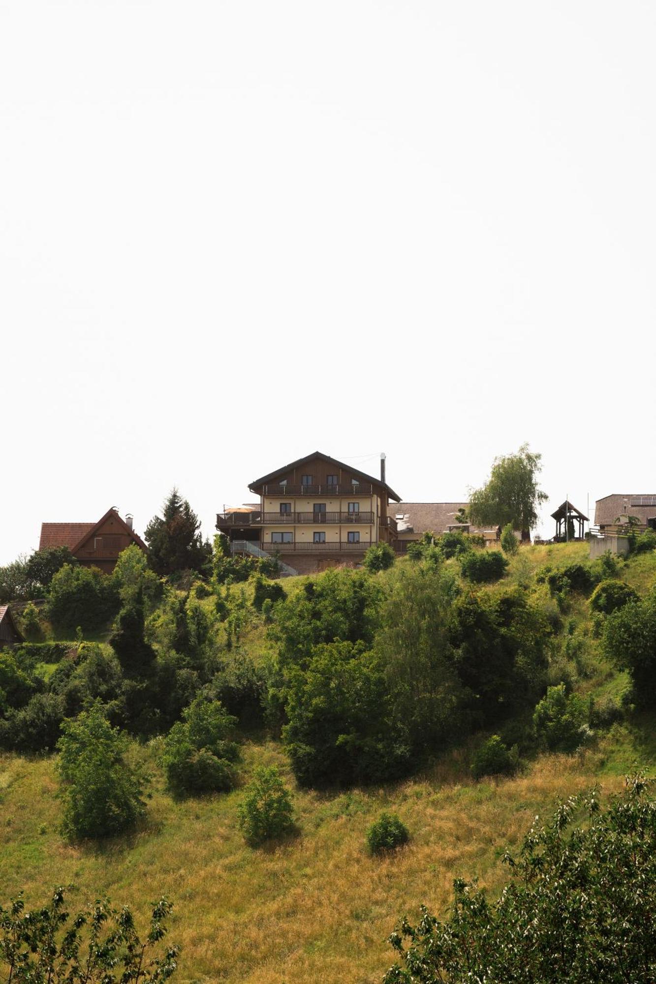 Das Weinkitz Kitzeck im Sausal Kültér fotó